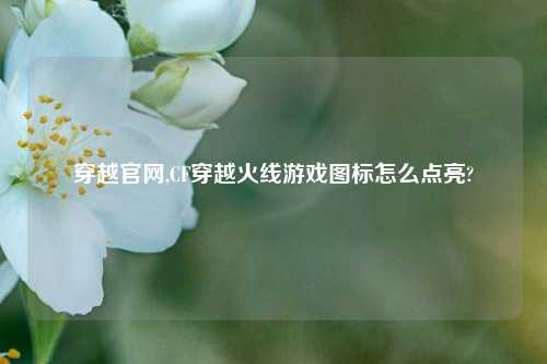 穿越官网,CF穿越火线游戏图标怎么点亮?