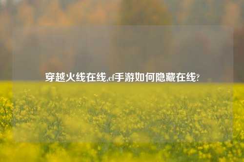 穿越火线在线,cf手游如何隐藏在线?