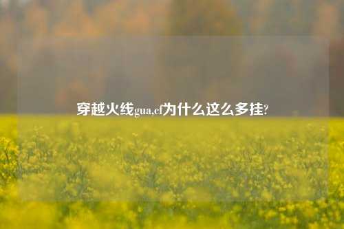穿越火线gua,cf为什么这么多挂?