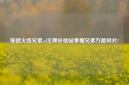穿越火线兄弟,cf王牌补给站拳魔兄弟万能碎片?