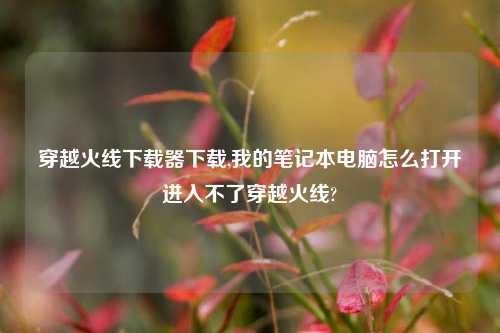 穿越火线下载器下载,我的笔记本电脑怎么打开进入不了穿越火线?