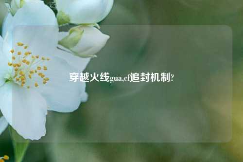 穿越火线gua,cf追封机制?