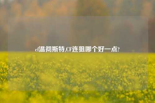 cf温彻斯特,CF连狙哪个好一点?