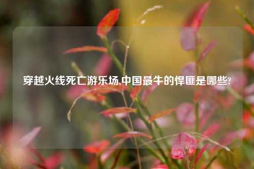 穿越火线死亡游乐场,中国最牛的悍匪是哪些?