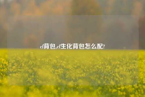 cf背包,cf生化背包怎么配?