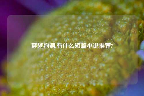 穿越狗洞,有什么短篇小说推荐?
