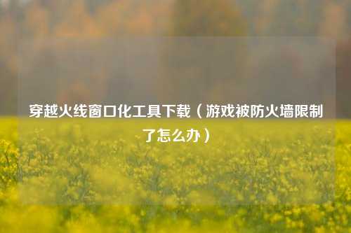 穿越火线窗口化工具下载（游戏被防火墙限制了怎么办）
