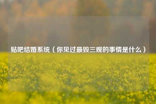 贴吧结婚系统（你见过最毁三观的事情是什么）