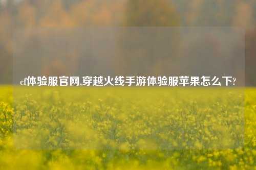 cf体验服官网,穿越火线手游体验服苹果怎么下?