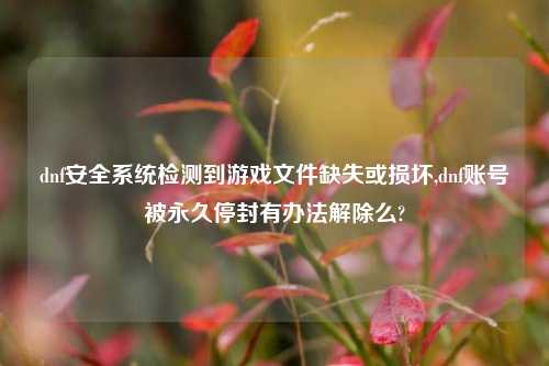 dnf安全系统检测到游戏文件缺失或损坏,dnf账号被永久停封有办法解除么?
