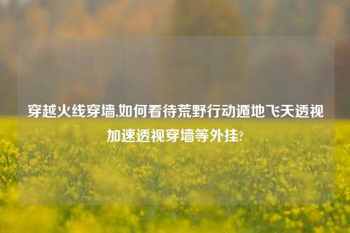 穿越火线穿墙,如何看待荒野行动遁地飞天透视加速透视穿墙等外挂?