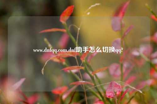 www.dnfqq.com,dnf助手怎么切换qq?