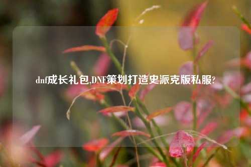dnf成长礼包,DNF策划打造史派克版私服?