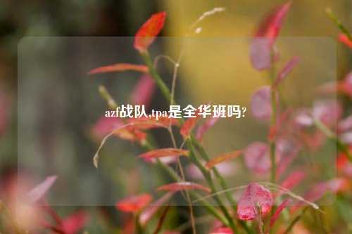 azf战队,tpa是全华班吗?
