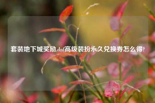 套装地下城奖励,dnf高级装扮永久兑换券怎么得?