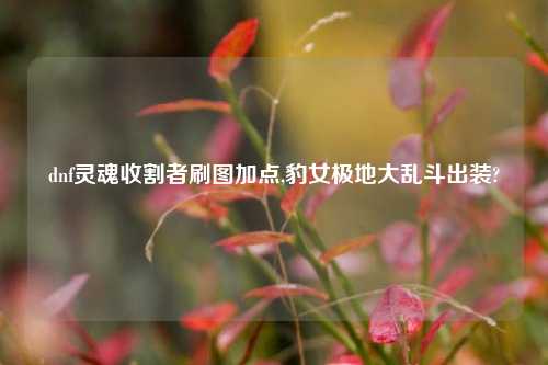 dnf灵魂收割者刷图加点,豹女极地大乱斗出装?