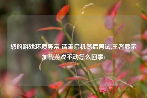 您的游戏环境异常 请重启机器后再试,王者显示加载游戏不动怎么回事?
