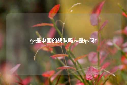 fpx是中国的战队吗,rw是fpx吗?