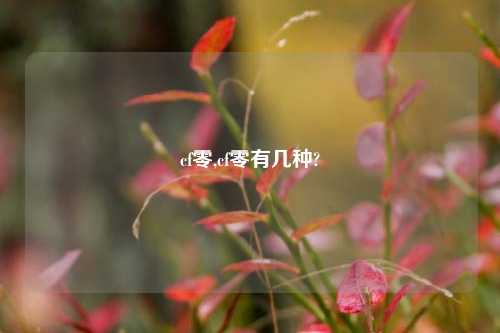 cf零,cf零有几种?