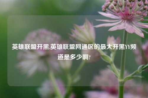 英雄联盟开黑,英雄联盟网通区的最大开黑YY频道是多少啊?