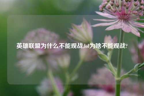 英雄联盟为什么不能观战,lol为啥不能观战?