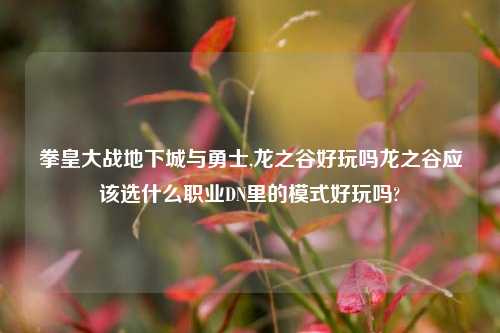 拳皇大战地下城与勇士,龙之谷好玩吗龙之谷应该选什么职业DN里的模式好玩吗?