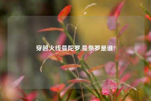 穿越火线曼陀罗,曼奈罗是谁?