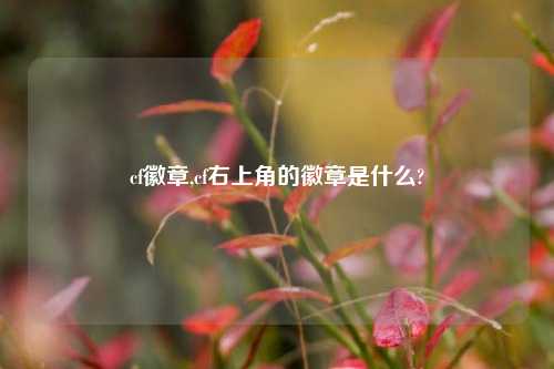 cf徽章,cf右上角的徽章是什么?