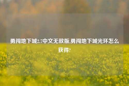 勇闯地下城2.7中文无敌版,勇闯地下城光环怎么获得?