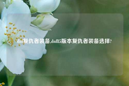 dnf复仇者装备,dnf85版本复仇者装备选择?
