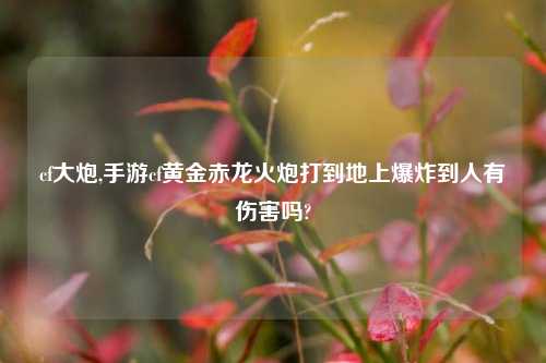 cf大炮,手游cf黄金赤龙火炮打到地上爆炸到人有伤害吗?