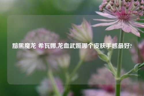 黯黑魔龙 希瓦娜,龙血武姬哪个皮肤手感最好?