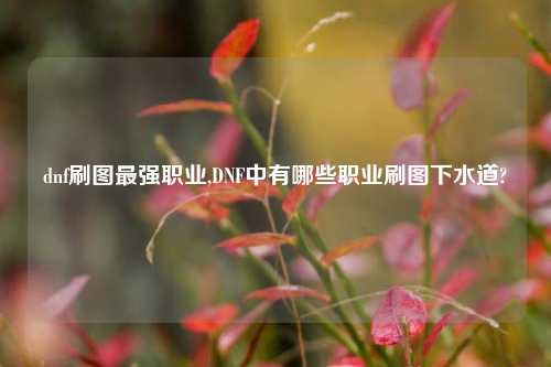 dnf刷图最强职业,DNF中有哪些职业刷图下水道?