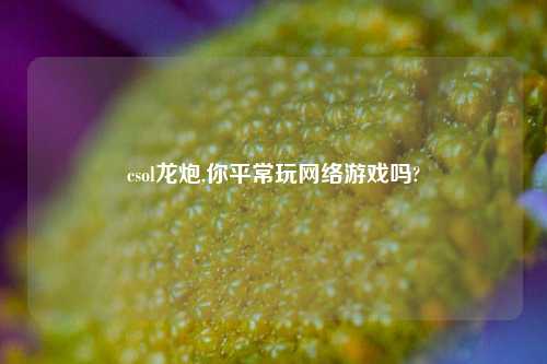 csol龙炮,你平常玩网络游戏吗?