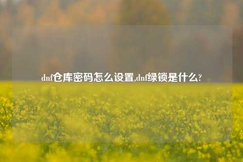 dnf仓库密码怎么设置,dnf绿锁是什么?
