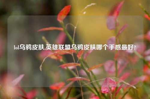 lol乌鸦皮肤,英雄联盟乌鸦皮肤哪个手感最好?