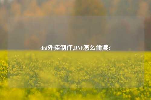 dnf外挂制作,DNF怎么偷渡?