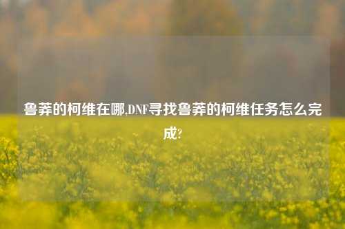 鲁莽的柯维在哪,DNF寻找鲁莽的柯维任务怎么完成?
