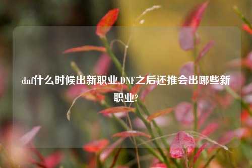 dnf什么时候出新职业,DNF之后还推会出哪些新职业?