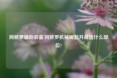 阿修罗辅助装备,阿修罗机械崛起开战选什么部位?