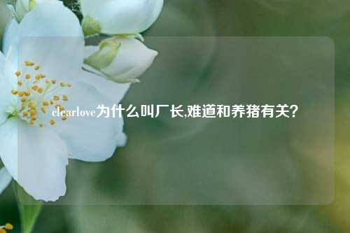 clearlove为什么叫厂长,难道和养猪有关？