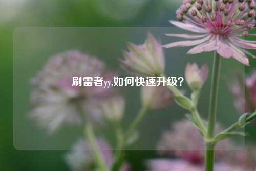 刷雷者yy,如何快速升级？