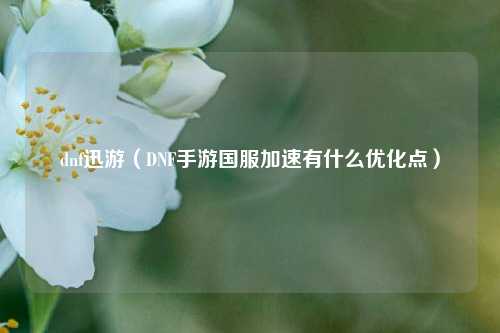 dnf迅游（DNF手游国服加速有什么优化点）
