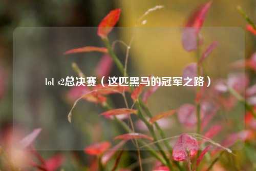 lol s2总决赛（这匹黑马的冠军之路）