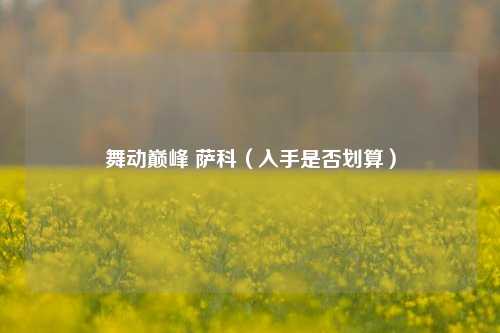 舞动巅峰 萨科（入手是否划算）