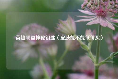 英雄联盟神秘钥匙（皮肤能不能低价买）