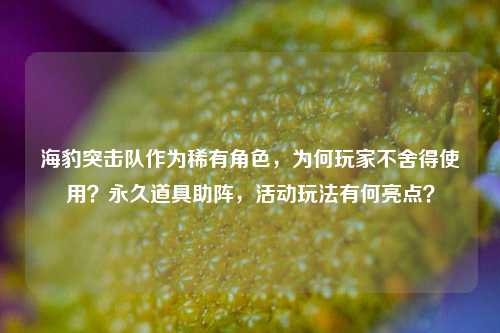 海豹突击队作为稀有角色，为何玩家不舍得使用？永久道具助阵，活动玩法有何亮点？