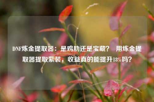 DNF炼金提取器：是鸡肋还是宝藏？  用炼金提取器提取紫装，收益真的能提升18%吗？