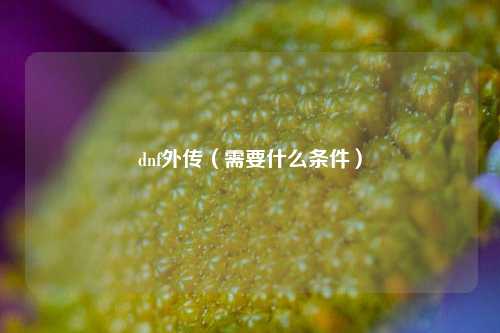 dnf外传（需要什么条件）
