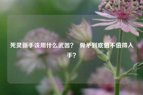 死灵新手该用什么武器？  骨矛到底值不值得入手？